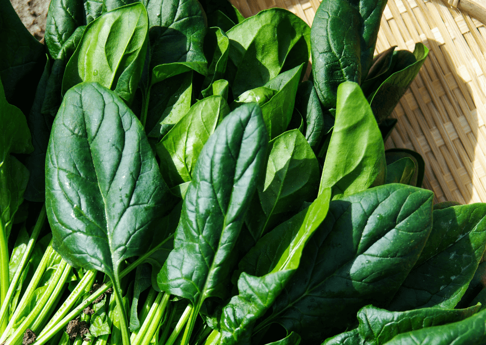 frunze de spanac proaspete