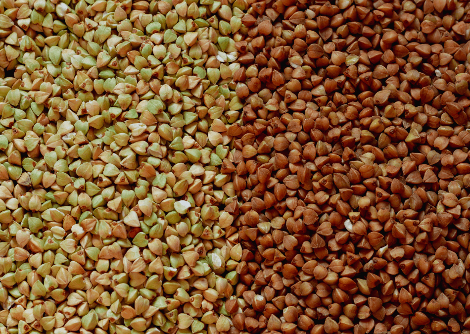 hrisca verde hrisca maro