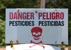 pericol pesticide