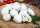 ciupercile champignon