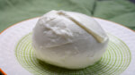 mozzarella bila