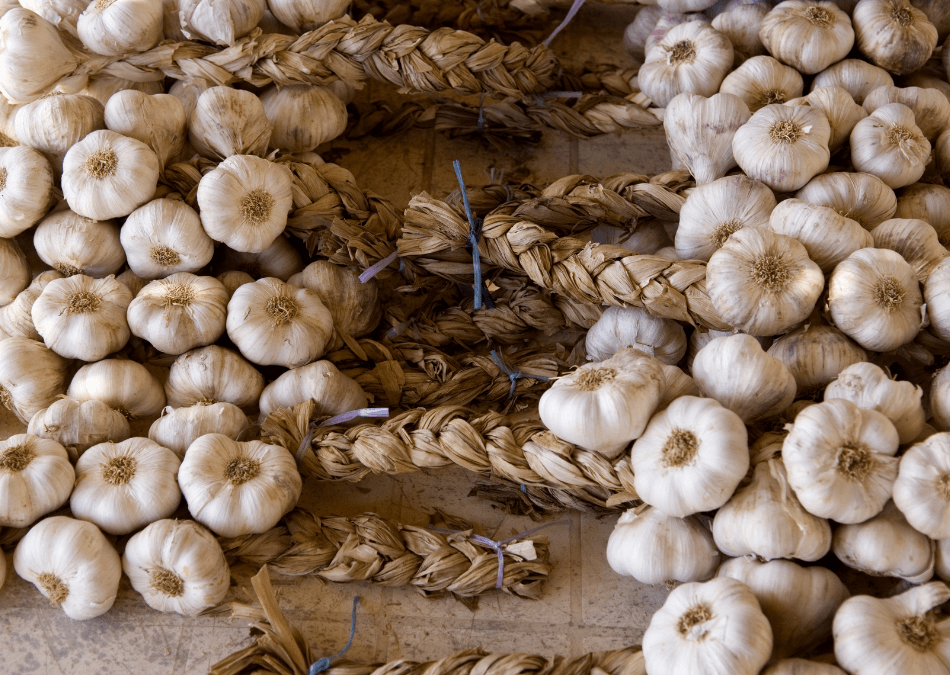 usturoi ecologic uscat conservarea