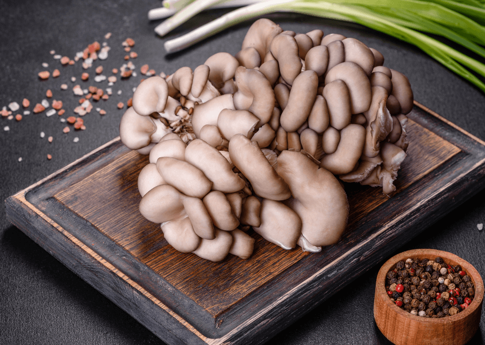 ciuperci pleurotus ostreatus bucatarie