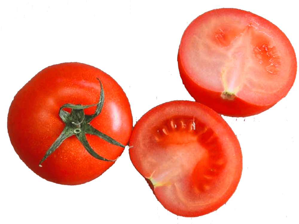 fotografie decorativa