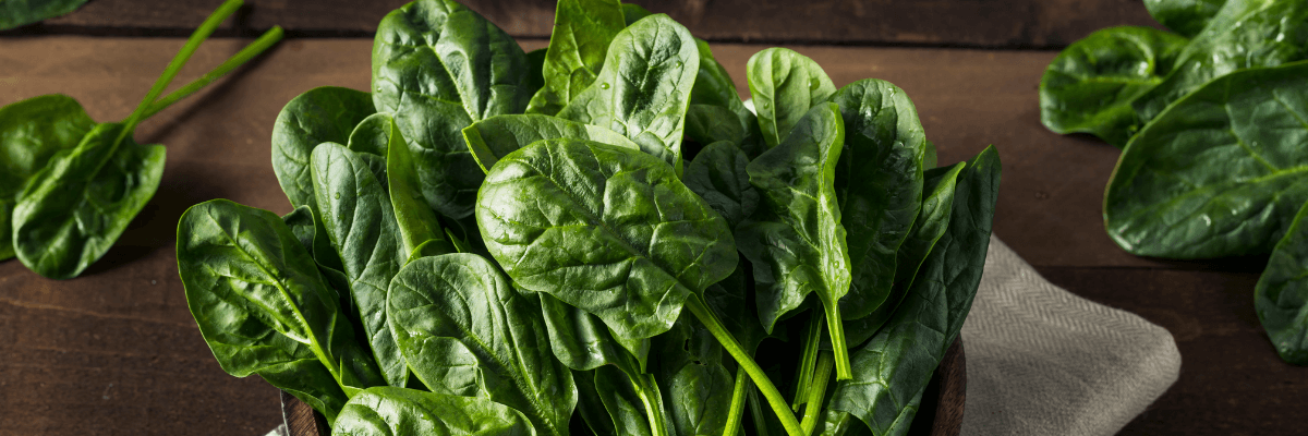 Cum să alegi și să păstrezi spanacul