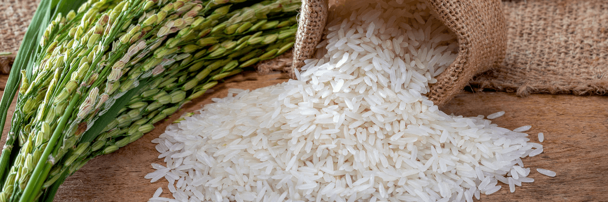 Ce nu știai despre orez