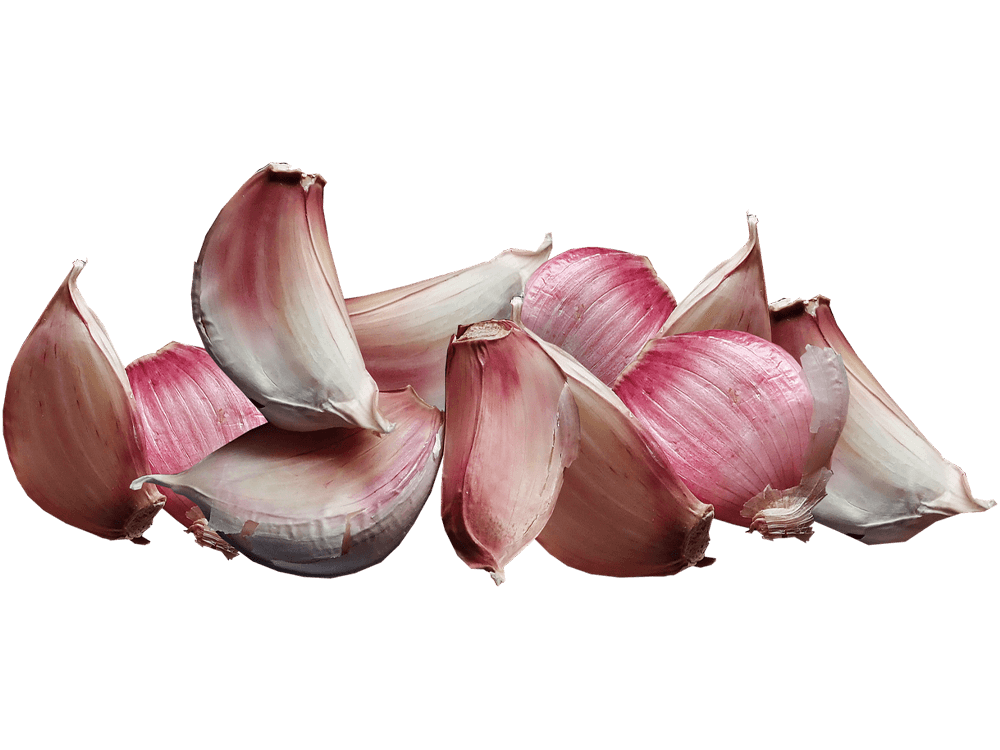 Fotografie BIO Usturoi