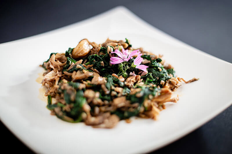 Fotografie Sote de ciuperci inverzite Fotografie Sote de ciuperci inverzite